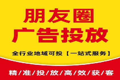 网络推广与竞价广告：双管齐下的策略案例